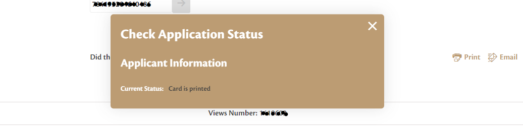 how to check my emirates id status