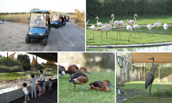 wasit wetland centre: all you need to know (History, localization, pricing, photos and more)