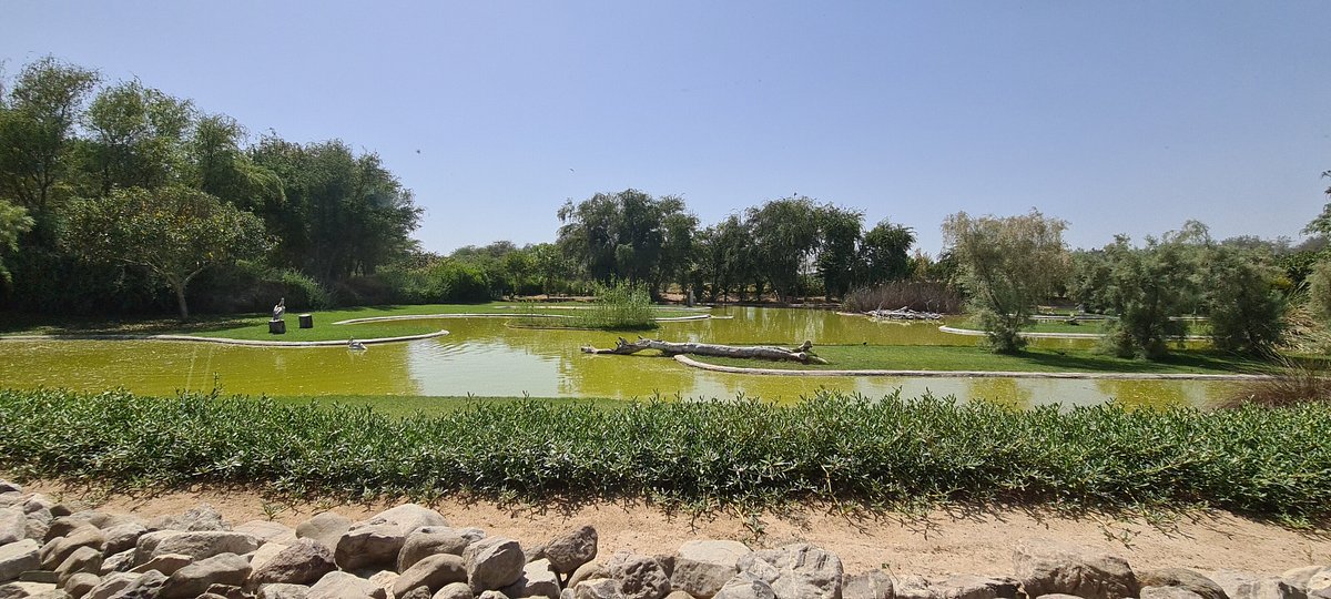 <iframe width="853" height="480" src="https://www.youtube.com/embed/DBPh8Sql16Y" title="Wasit Wetland Centre - Sharjah, UAE" frameborder="0" allow="accelerometer; autoplay; clipboard-write; encrypted-media; gyroscope; picture-in-picture; web-share" allowfullscreen></iframe>