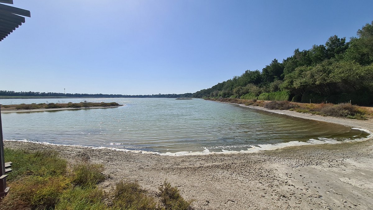 <iframe width="853" height="480" src="https://www.youtube.com/embed/DBPh8Sql16Y" title="Wasit Wetland Centre - Sharjah, UAE" frameborder="0" allow="accelerometer; autoplay; clipboard-write; encrypted-media; gyroscope; picture-in-picture; web-share" allowfullscreen></iframe>