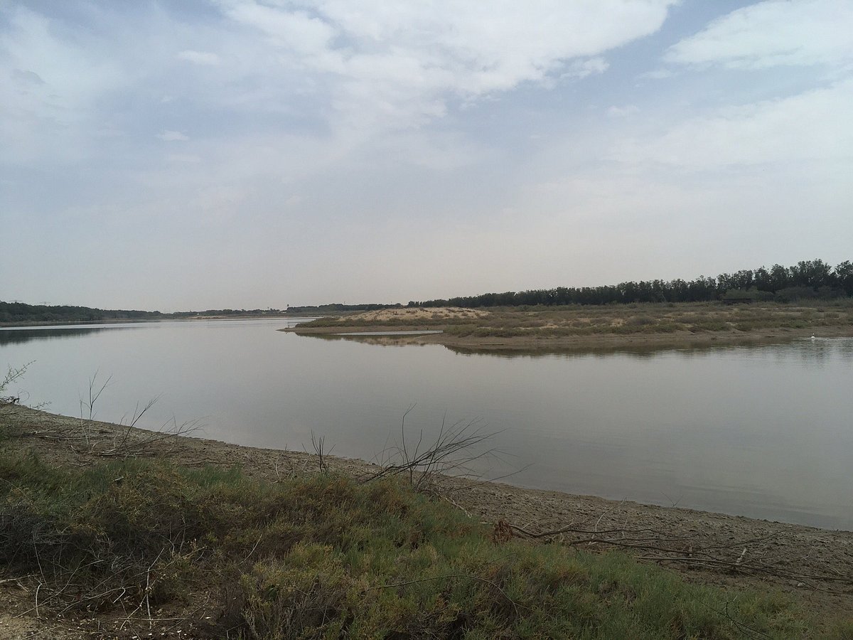 <iframe width="853" height="480" src="https://www.youtube.com/embed/DBPh8Sql16Y" title="Wasit Wetland Centre - Sharjah, UAE" frameborder="0" allow="accelerometer; autoplay; clipboard-write; encrypted-media; gyroscope; picture-in-picture; web-share" allowfullscreen></iframe>