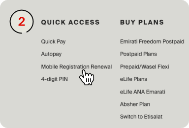 etisalat update emirates id online steps 